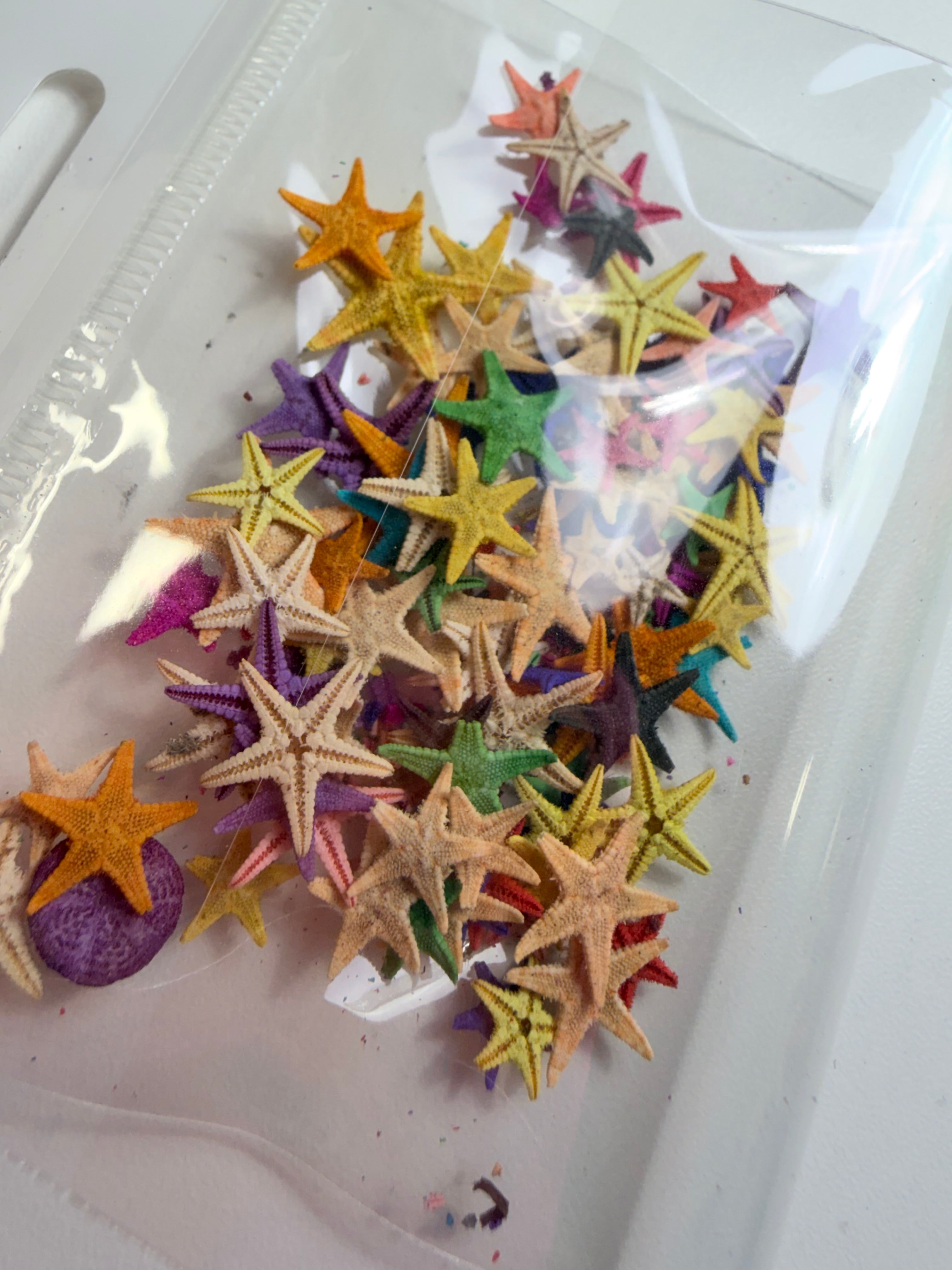 Estrellas de Mar (Variedad)